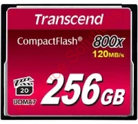 TS256GCF800